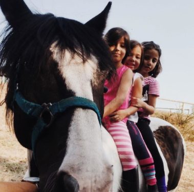 Caballos Club Hípico Equigalia